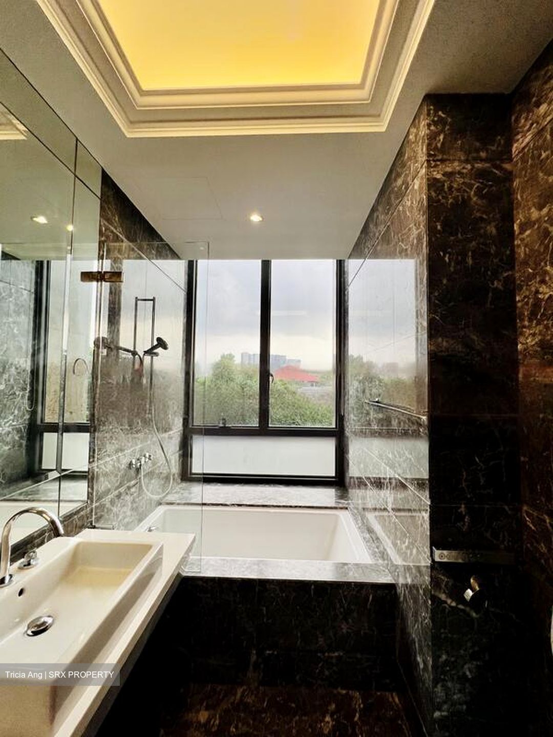 Parkview Eclat (D10), Condominium #468366851